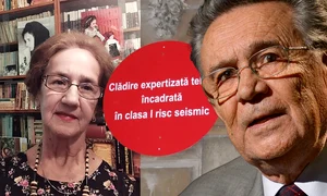 Banner Sofia Vicoveanca Gheorghe Mărmureanu