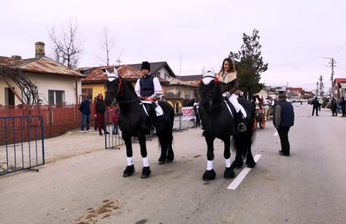 pastele cailor 2019