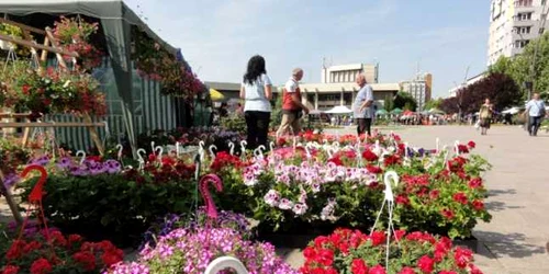 expo flora slatina 