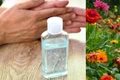 apa oxigenata istock jpg