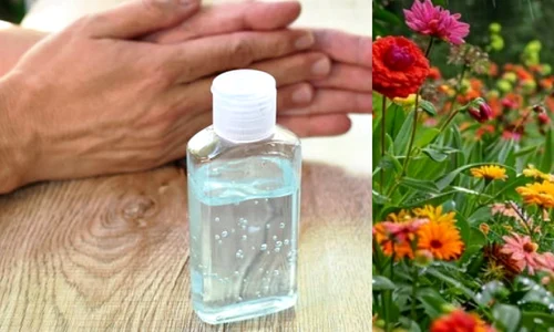 apa oxigenata istock jpg