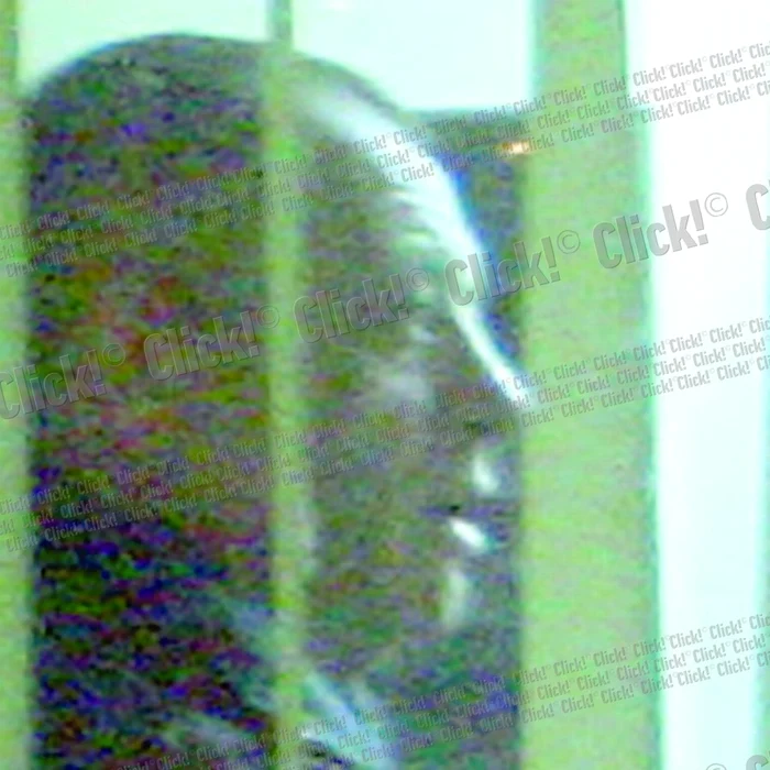 Vlădan rămâne în arest până în 4 mai