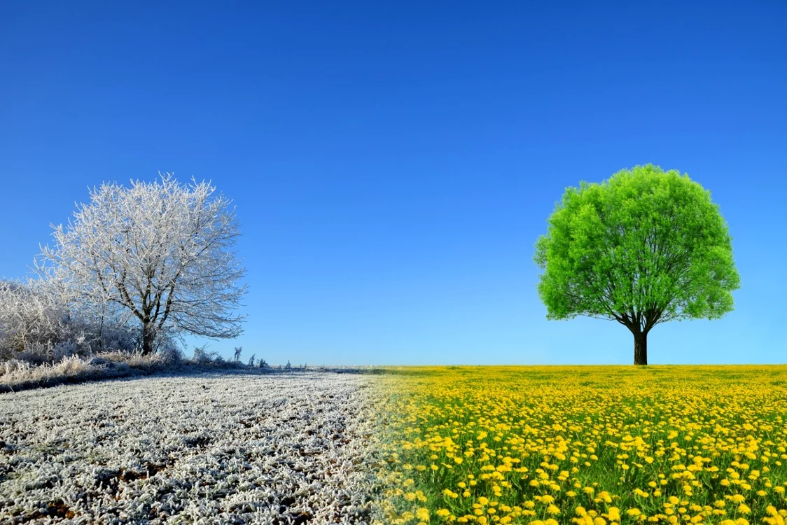 Primăvara vine cu temperaturi mai ridicate decât media perioadei FOTO Shutterstock