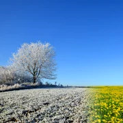 primavara iarna foto shutterstock