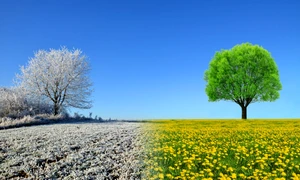 primavara iarna foto shutterstock