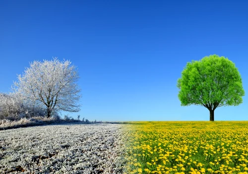 primavara iarna foto shutterstock