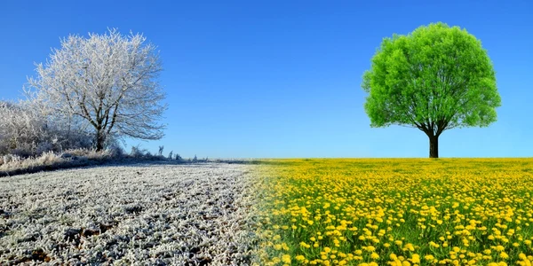 primavara iarna foto shutterstock