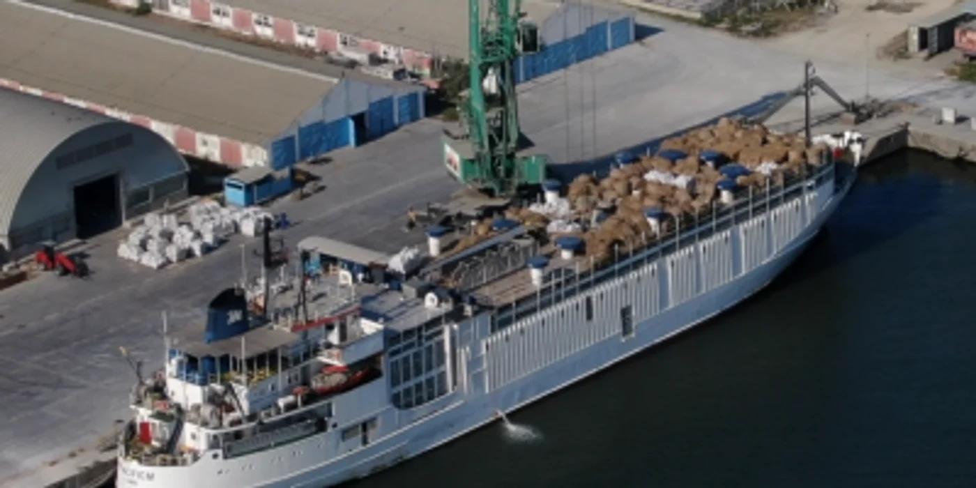 Pacific M, nava care se îndreaptă spre România FOTO Animals International