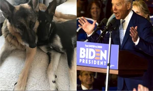 Joe Biden și câinii lui  foto   Shutterstock, Instagram jpg