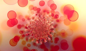 1 covid g9a8318365 1280 jpg jpeg