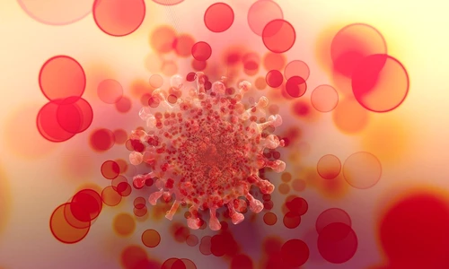 1 covid g9a8318365 1280 jpg jpeg