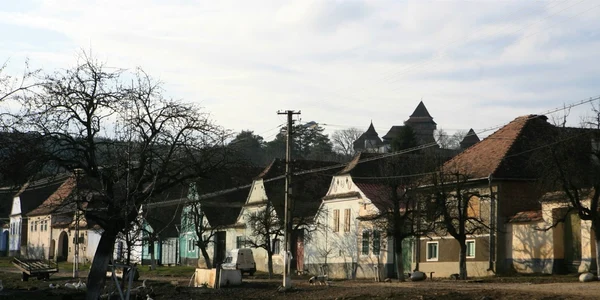 Case sasesti FOTO Lucian Muntean