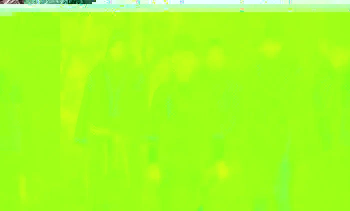 Tinerii din Smeeni duc mai departe tradiţiile strămoşilor                                       FOTO: Smeeni Web TV