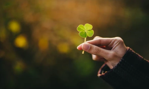 1 77787 original jpg jpeg