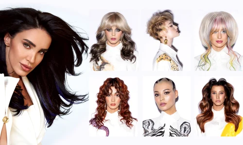 Colectia Hairtrands 2024 by Adrian Perjovschi jpg