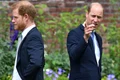 7 printul william printul harry jpg jpeg