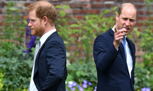 7 printul william printul harry jpg jpeg