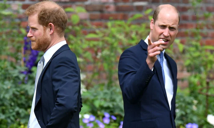 7 printul william printul harry jpg jpeg