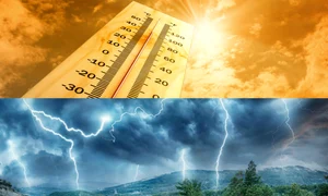 canicula furtuni jpeg