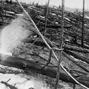 Tunguska Ereignis 1 jpg