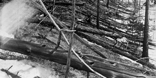 Tunguska Ereignis 1 jpg