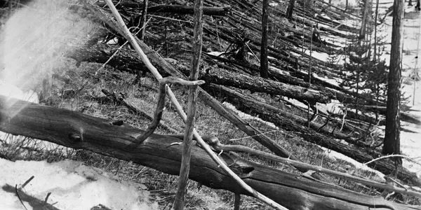 Tunguska Ereignis 1 jpg