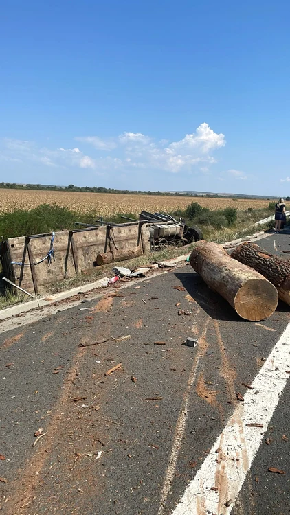 Tragedia a avut loc pe A1 Deva-Nădlac. FOTO IPJ Timiș