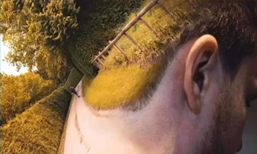 Optical illusion 5102723 jpg