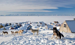 Ittoqqortoormiit, Groenlanda fiecare locuitor are la dispozitie circa 150 de kilometri patrati de teren jpeg