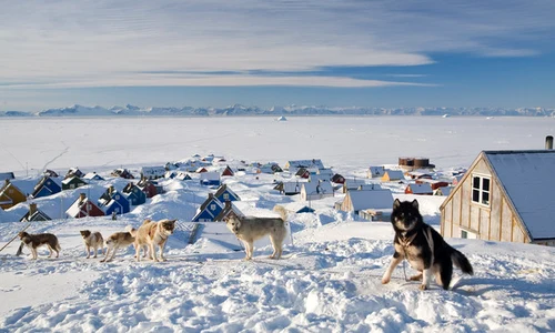 Ittoqqortoormiit, Groenlanda fiecare locuitor are la dispozitie circa 150 de kilometri patrati de teren jpeg