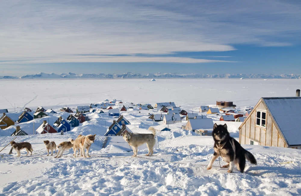 Donald Trump ar fi cerut armatei americane un plan de invadare a Groenlandei. Generalii încearcă să-l facă să se răzgândească