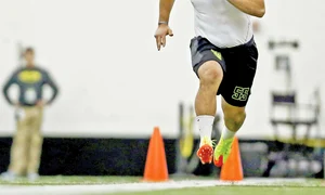 grasu 1 232655454554 jpeg