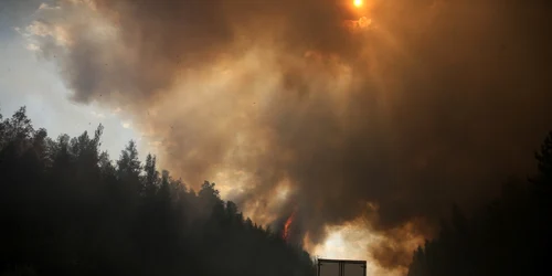 Incendii forestiere Sverdlovsk Munţii Ural Rusia - 26 aug 2021 / FOTO Profimedia