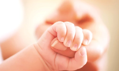 1 52390 original jpg jpeg