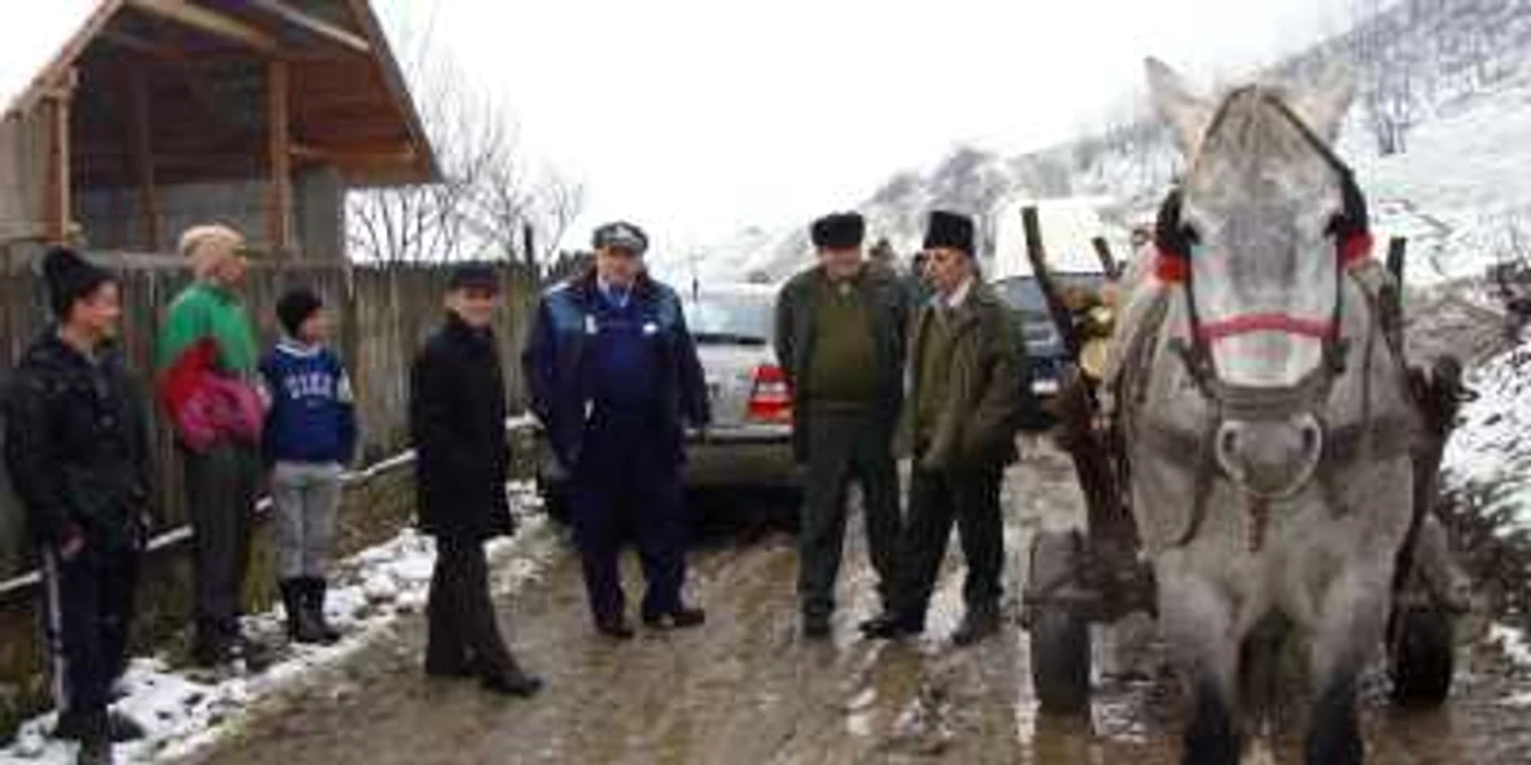 Căruţa cu lemne furate a fost confiscată 