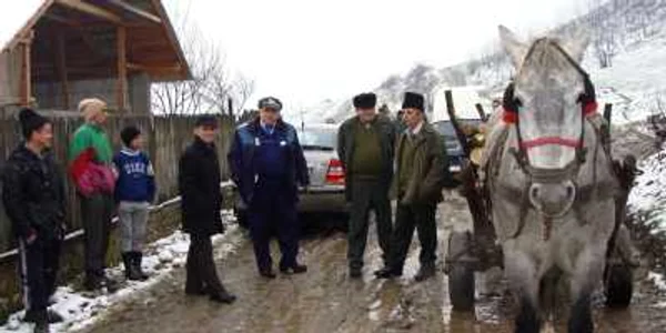 Căruţa cu lemne furate a fost confiscată 
