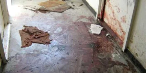 Satu Mare: Crimă înfiorătoare pe Bulevardul Cloşca