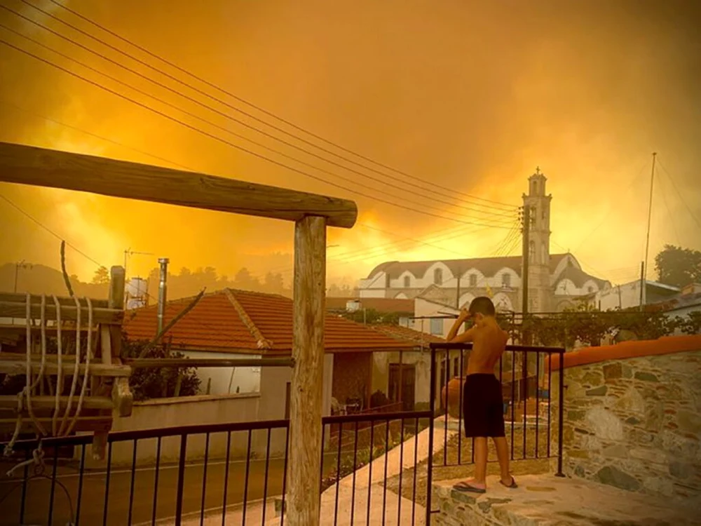 cipru incendiu