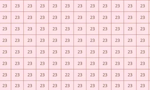 optical illusion 23 jpg