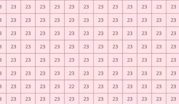optical illusion 23 jpg
