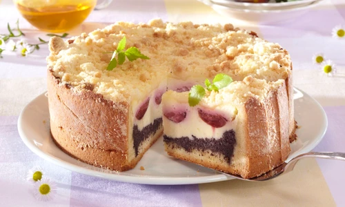 Cheesecake with Plums and Poppy jpeg