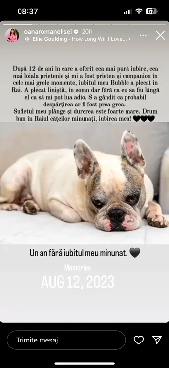 Mesajul Oanei Roman pentru cățelul ei / FOTO: Instagram