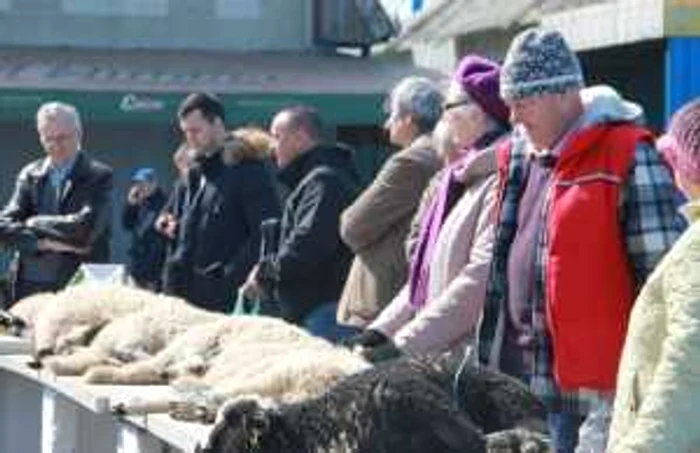 Mieii se vând doar în locuri autorizate sanitar-veterinar FOTO Adevărul