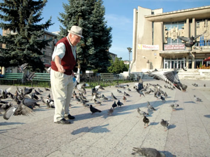 Hunedoara: Centrul Devei, cucerit de porumbei în fiecare dimineaţă