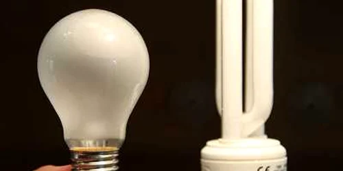Becurile clasice, înlocuite cu cele ecologice