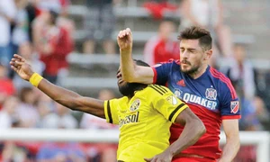 cocis16 sport cocis jpeg