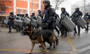 politie jandarmi jpg