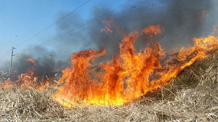 Incendiu de vegetație în Mehedințifoto: News.ro