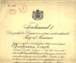 Brevetul de înaintare la gradul de general de divizie; a aparținut generalului Ernest Broșteanu (© Colecția „Documente originale”, Muzeul Militar Național „Regele Ferdinand I”)