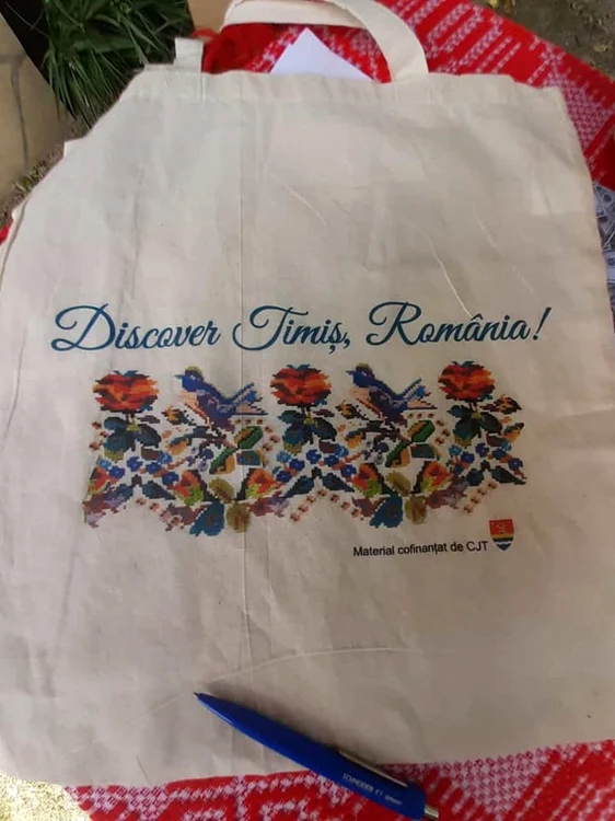 Descover Timiş